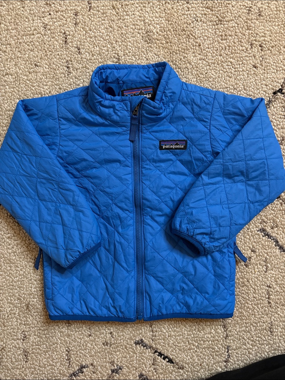 Patagonia Kids Puffer Jacket (3T)